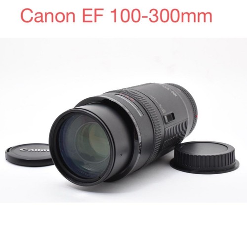 Articolo canon 100 300 - articolo:,