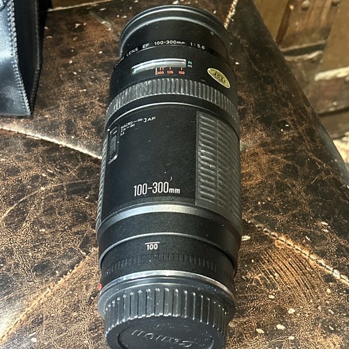 Canon 100 300mm - f5.6, zoom