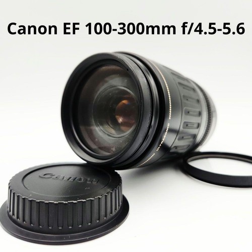 Canon 100 300 - ef, 100-300
