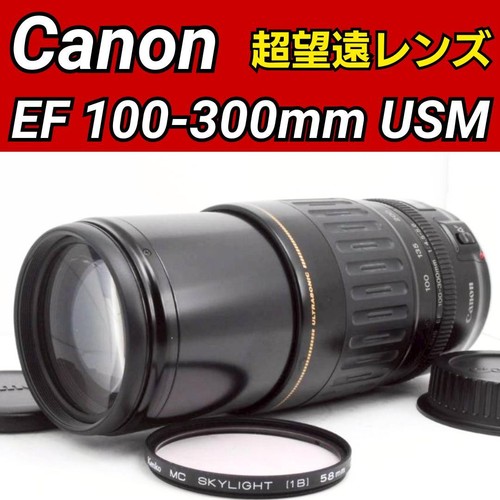 Canon 100 300 - canon, 100-300