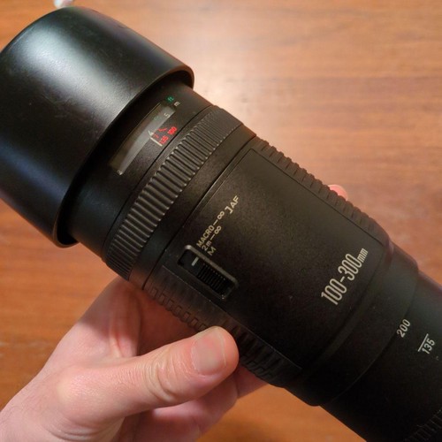 Canon 100 300 6 - f5.6, l